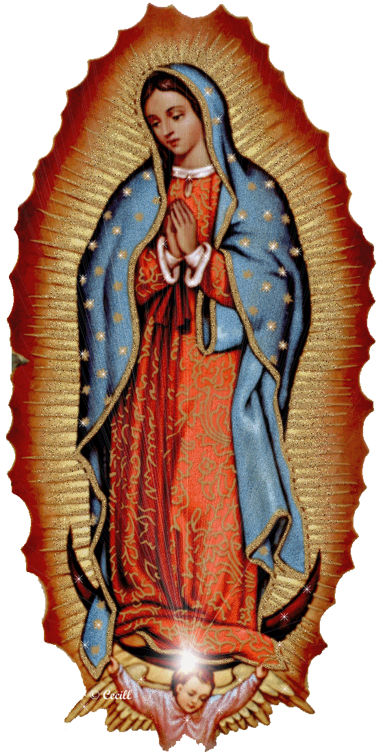 <span style="font-weight: bold;">VIRGEN DE GUADALUPE</span>